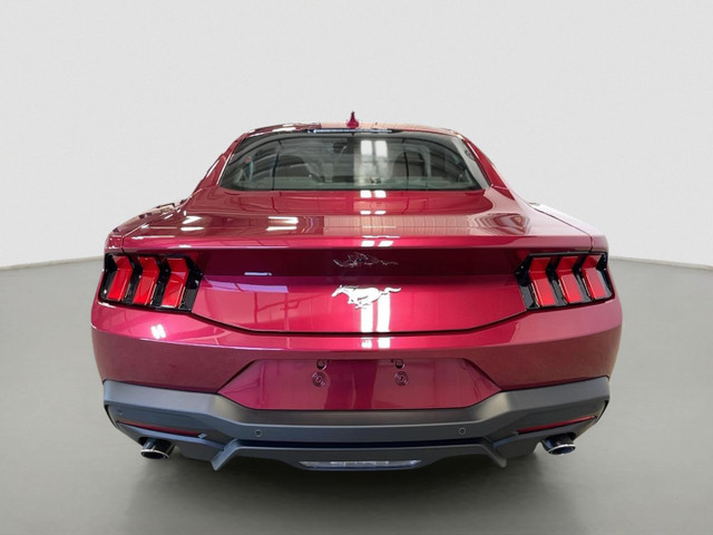 2025 Ford Mustang EcoBoost Fastback in Cars & Trucks in Moose Jaw - Image 3
