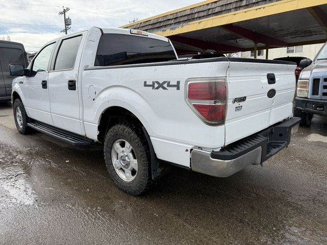 2014 Ford F-150 XLT in Cars & Trucks in Edmonton - Image 4