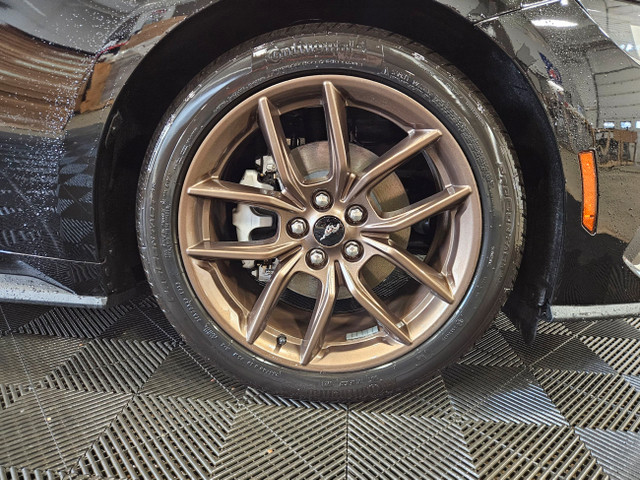 2024 Ford Mustang PREMIUM | 201A | BRONZE APPEARANCE PKG in Cars & Trucks in Lloydminster - Image 4