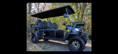 Brand new Tara Evelution 6 passenger golf cart. Financing available.