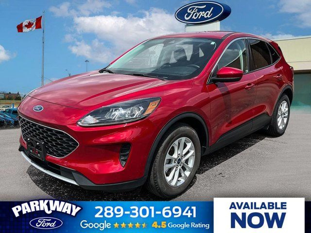 2021 Ford Escape SE in Cars & Trucks in Kitchener / Waterloo