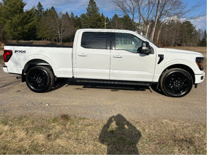 2024 Ford F 150 XLT fx4 bas kilo 3,5 eco