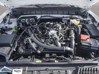 **WE WILL BEAT ANY FORD DEALER IN THE CITY** With its unquestioned toughness and durability, the 202... (image 6)