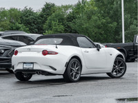 Wilson-Niblett Motors has been proud to serve York Region for more than six decades! We want to than... (image 4)