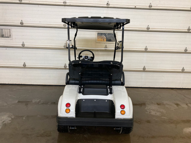 2024 HDK Express Classic 2 Plus Golf Cart in ATVs in Moose Jaw - Image 4