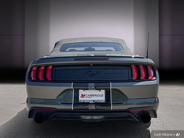 2019 Ford Mustang Convertible | Automatic | Turbocharged | in Cars & Trucks in Cambridge - Image 4
