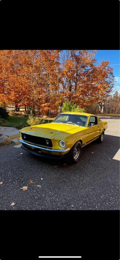 1967 Ford Mustang GT Gt
