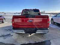 Dive into the robust world of the 2022 Ford F-150 XLT, a truck that blends power, practicality, and... (image 5)