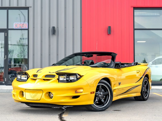 2002 Pontiac Firebird Trans Am Collectors Edition - 6 Speed | Lo in Cars & Trucks in Saskatoon - Image 2