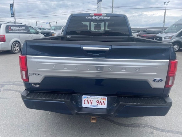  2019 Ford F-150 PLATINUM in Cars & Trucks in Fredericton - Image 4