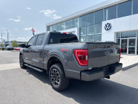 XLT Sport Appearance Package! On sale now! This vehicle was originally listed at $48998. We've marke... (image 7)