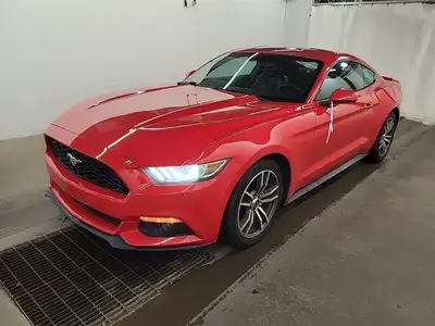 A sleek and sporty rear‑wheel‑drive coupe, the 2015 Mustang EcoBoost Fastback is powered by a 2.3 L...