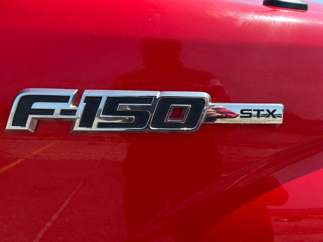 2012 Ford F-150 STX 4x2 Regular Cab Styleside 6.5 ft. box 126 in in Cars & Trucks in Mississauga / Peel Region - Image 4