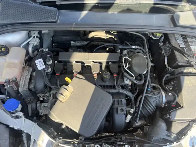 2014 Ford Focus SE in Cars & Trucks in Kitchener / Waterloo - Image 18