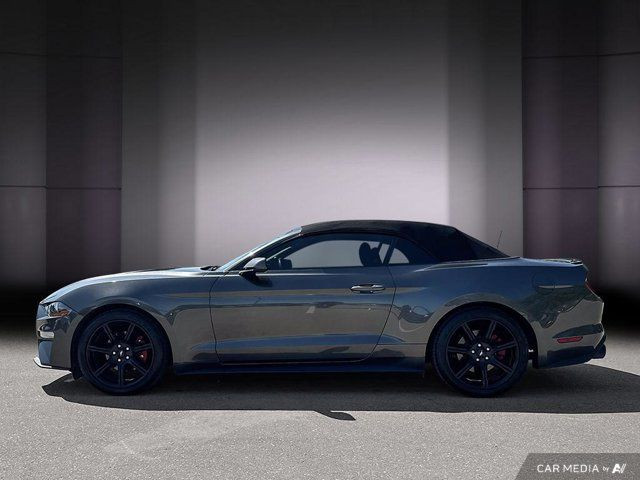 2019 Ford Mustang Convertible | Automatic | Turbocharged | in Cars & Trucks in Cambridge - Image 2