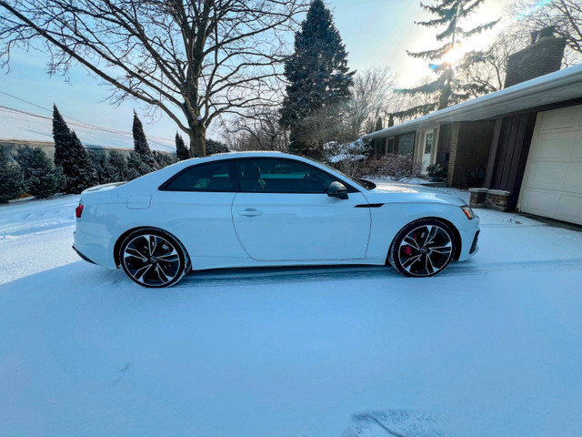 2023 Audi S5 Technik in Cars & Trucks in Leamington - Image 3