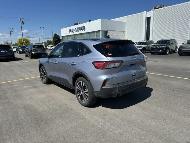 2019 Ford Escape SEL in Cars & Trucks in Windsor Region - Image 4