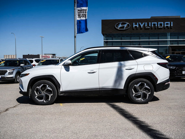 2022 Hyundai Tucson Plug-In Hybrid Luxury AWD Available 5.99% w/ in Cars & Trucks in Winnipeg - Image 4