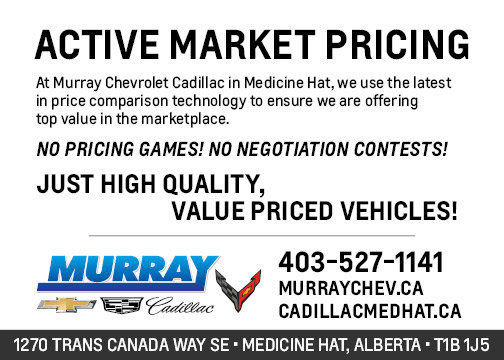 2023 Nissan Rogue Platinum in Cars & Trucks in Medicine Hat - Image 2