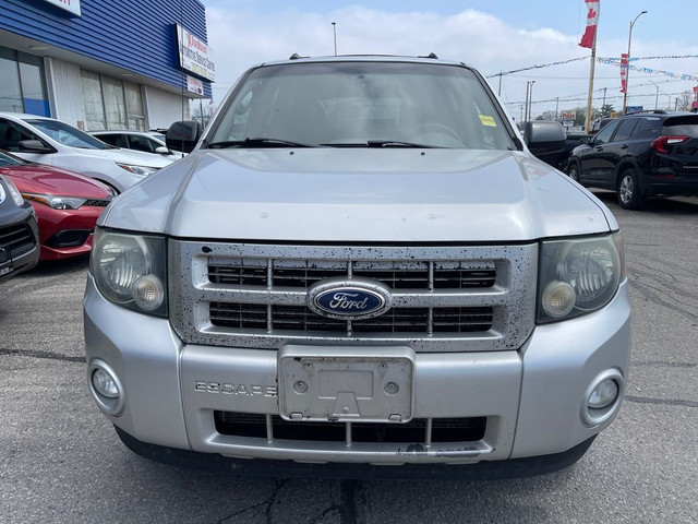  2010 Ford Escape XLT WE FINANCE ALL CREDIT | 700+ VEHICLES IN S in Cars & Trucks in London - Image 2