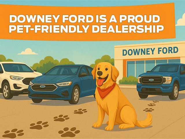 2018 Ford F-150 XLT 4WD | SUPERCAB | 5.5' BOX in Cars & Trucks in Saint John - Image 4