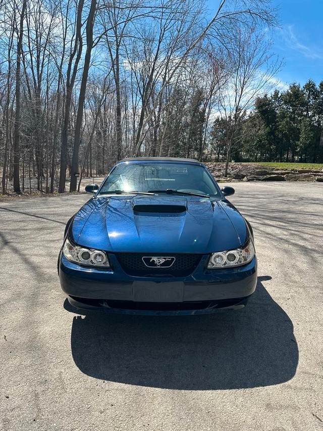 2003 Ford Mustang in Cars & Trucks in Laval / North Shore - Image 2