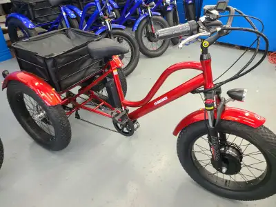 The Florence Fat Tire ebike puts the fun in functional. If you were ever worried about your balance...