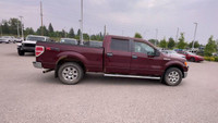 Four Wheel Drive. Cloth Interior. USB Input(s). Auxiliary Input. Steering Wheel Controls: Cruise, Me... (image 9)