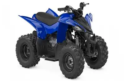 Engine Type: Single-Cylinder Displacement: 3 cu. in. (49 cc) Bore x Stroke: Bore: 1.54 in. (39 mm);...