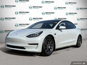 2019 Tesla Model 3 Standard Range RWD