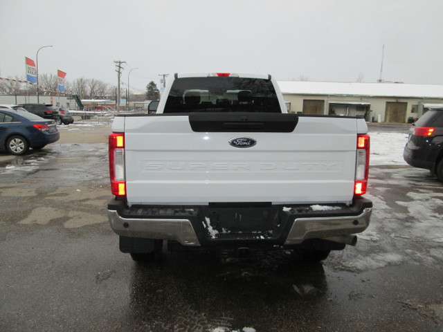 2019 Ford Super Duty F-350 SRW L in Cars & Trucks in Winnipeg - Image 4