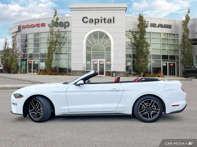 2023 Ford Mustang EcoBoost Premium | One Owner Accident Free in Cars & Trucks in Edmonton - Image 2