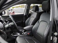 One Owner, Accident Free, Well Maintained And Dealer Serviced Since Day One. Finished In Black With... (image 7)