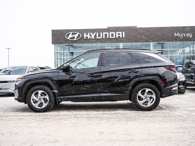 2022 Hyundai Tucson Preferred AWD 5.99% Available in Cars & Trucks in Winnipeg - Image 4