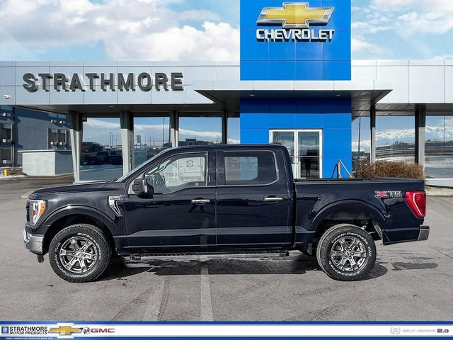 2021 Ford F-150 in Cars & Trucks in Calgary - Image 3