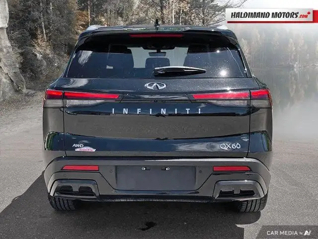 2024 INFINITI QX60 LUXE63008301326211123