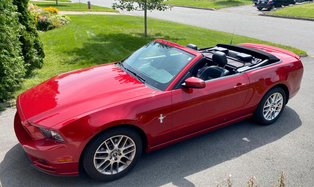 2013 Ford MUSTANG V6 CABRIOLET - PREMIUM - "PONY PACK" in Cars & Trucks in Trois-Rivières