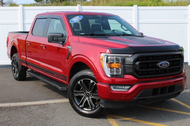 2022 Ford F-150 XLT FX4 | Lthr | Cam | TowPckge | Warranty to 20 in Cars & Trucks in Saint John - Image 2