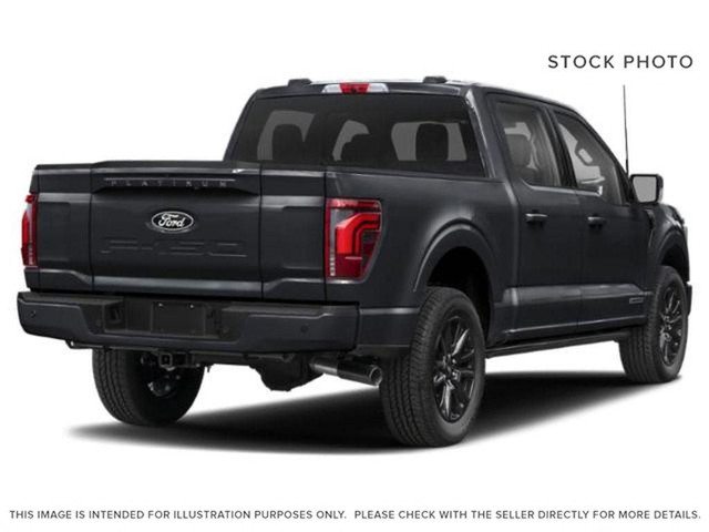 2024 Ford F-150 Platinum in Cars & Trucks in Edmonton - Image 3