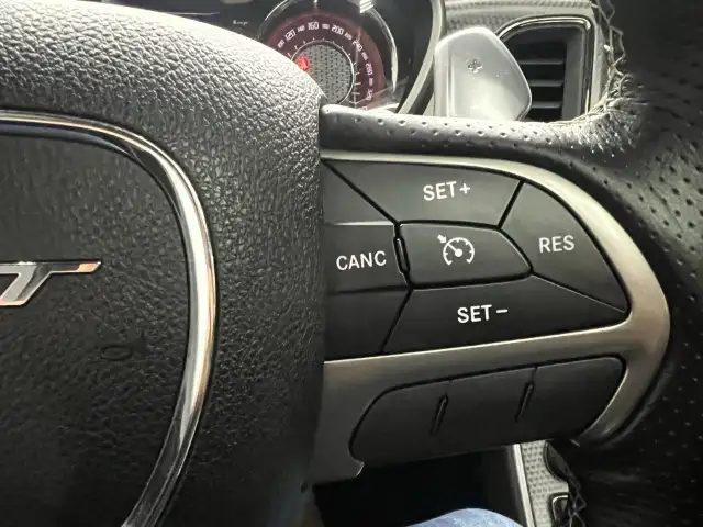 2016 Dodge Challenger in Cars & Trucks in Edmonton - Image 24