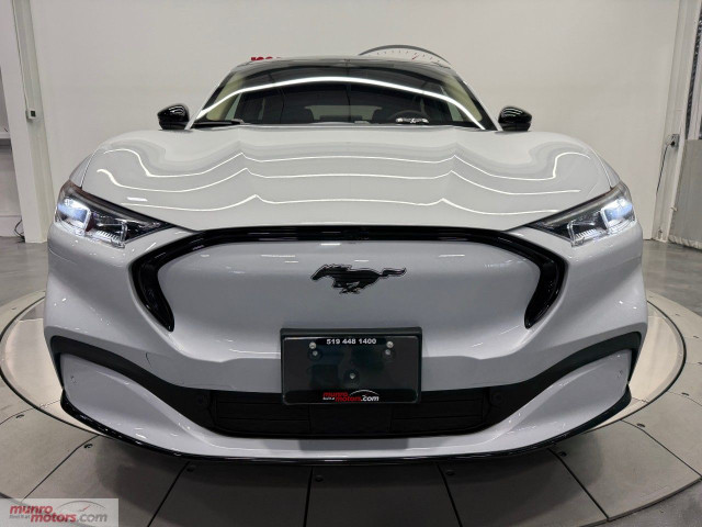 2023 Ford Mustang Mach-E in Cars & Trucks in Brantford - Image 3
