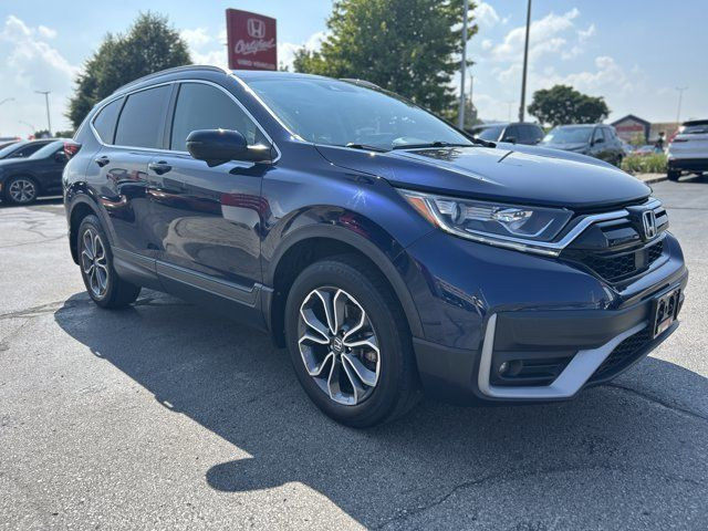2021 Honda CR-V EX-L in Cars & Trucks in Hamilton - Image 3
