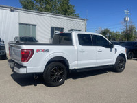 Our vehicles come with a comprehensive AMVIC mechanical fitness assessment and complementary Carfax... (image 6)