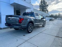 STX 2WD SuperCrew 5.5' Box Engine: 5.0L V8 (image 4)