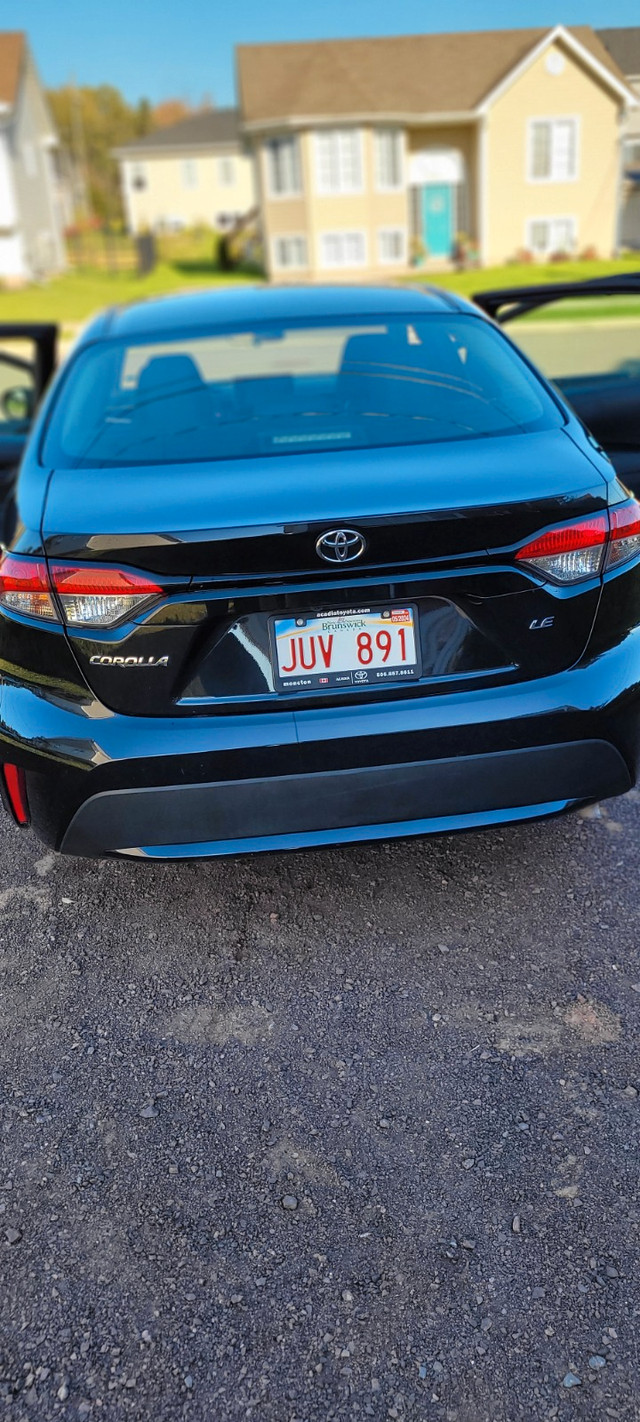 2020 Toyota Corolla LE in Cars & Trucks in Moncton - Image 3