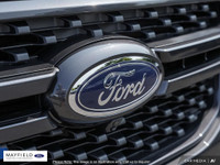 The Humberview Group: 5000 Vehicles. 20 Stores. 18 Brands. 1 Promise: Serving you better each and ev... (image 8)