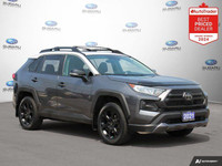 New Price! Magnetic Gray Metallic/Ice Edge Roof 2021 Toyota RAV4 Trail TRD AWD 8-Speed Automatic 2.5... (image 6)