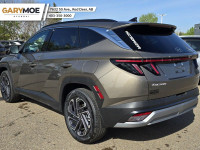Price includes all Fees and Add-ons. What you see is what you pay! - Excludes GST The 2025 Hyundai T... (image 2)