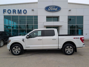 2021 Ford F 150 PLATINUM