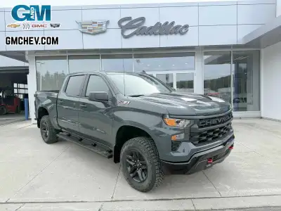 Engine: 5.3L 8cyl. L/100Km City: 0.0 L/100Km Hwy: 0.0 Safety Equipment Daytime Running Lamps with au...